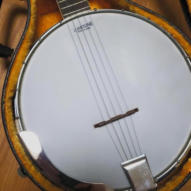 弦楽器 Vine V2R Banjo