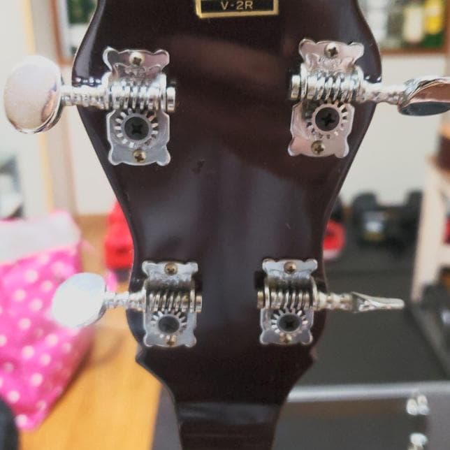 弦楽器 Vine V2R Banjo
