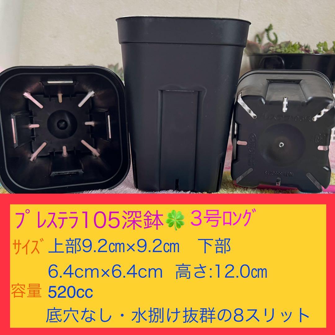 F⑥ プレステラお得セット★ 【90深鉢５０個】【105深鉢５０個】