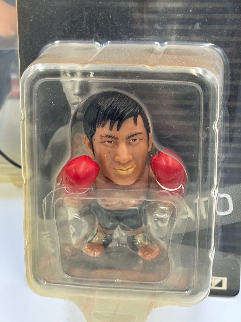 プロレス 前田日明 サイン入りフィギュア HC HAO COLLECTION