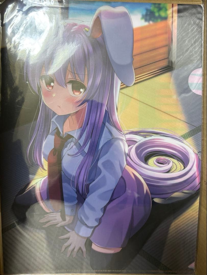 フォロワー