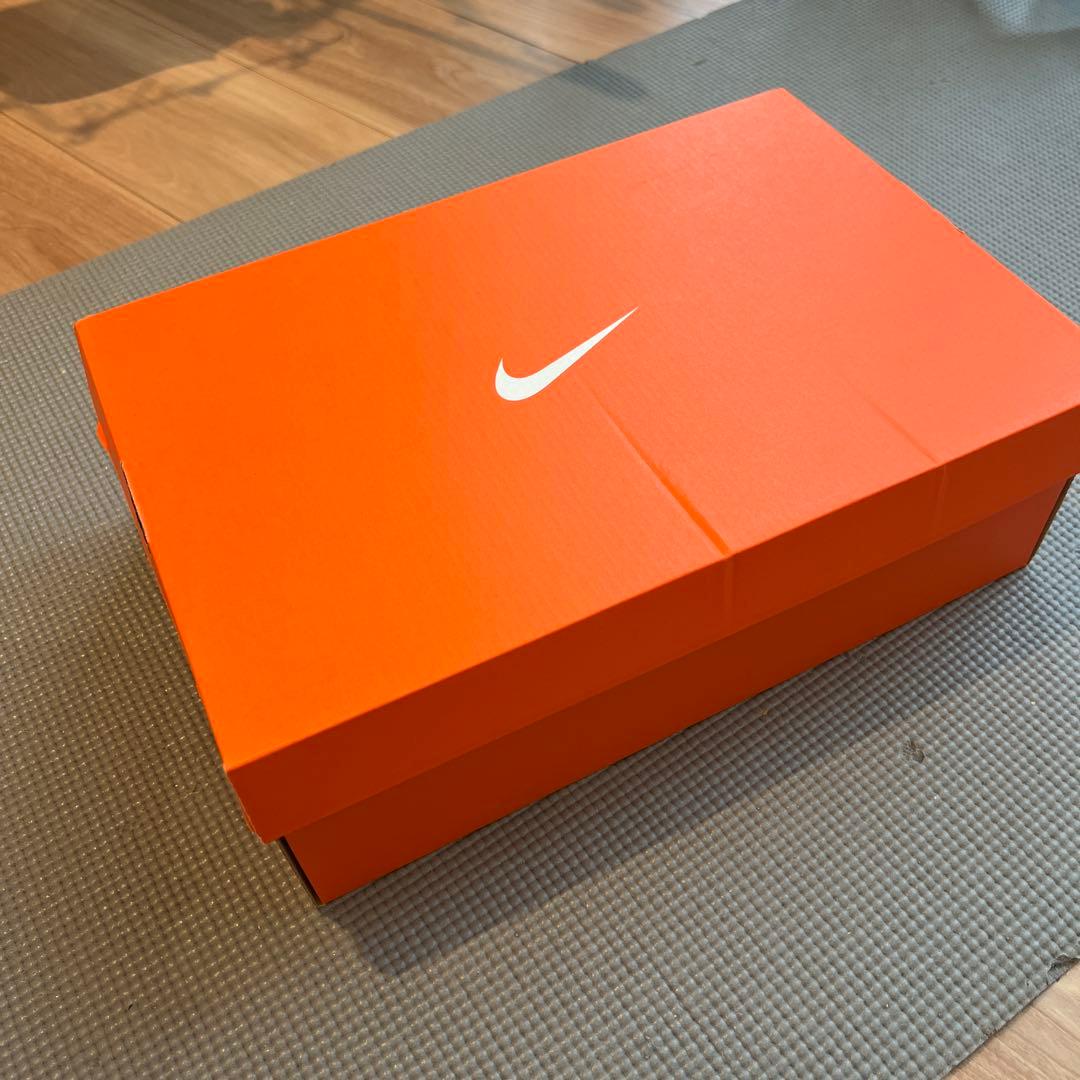 ナイキ エアジョーダン11 レトロ プラチナム ティント