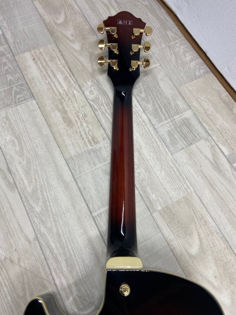 Ibanes フルアコースティックギター AG95QA-DBS