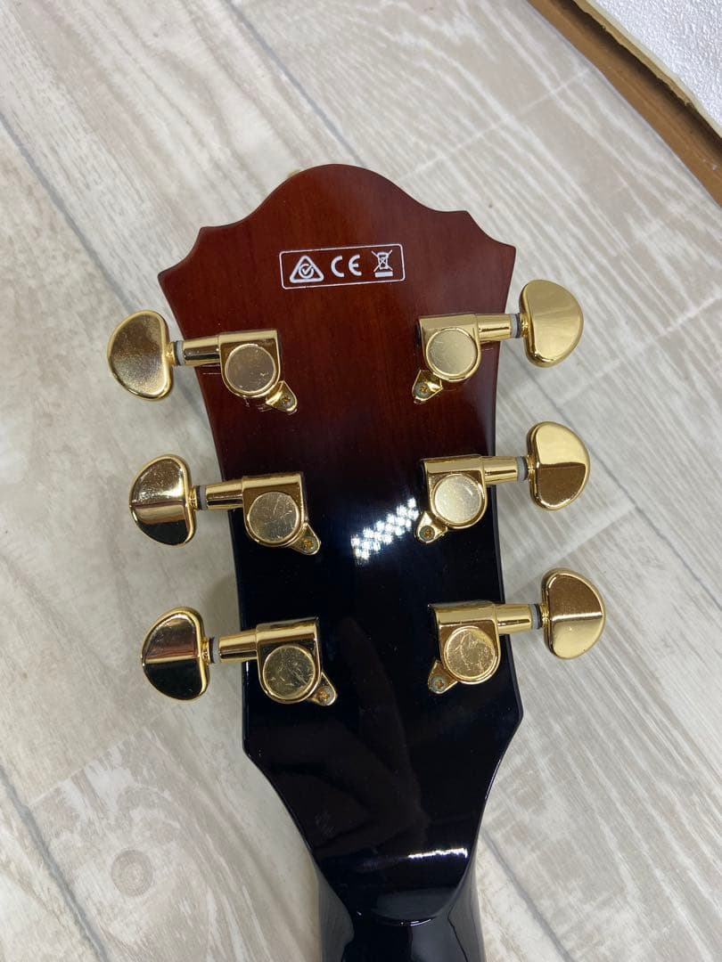 Ibanes フルアコースティックギター AG95QA-DBS