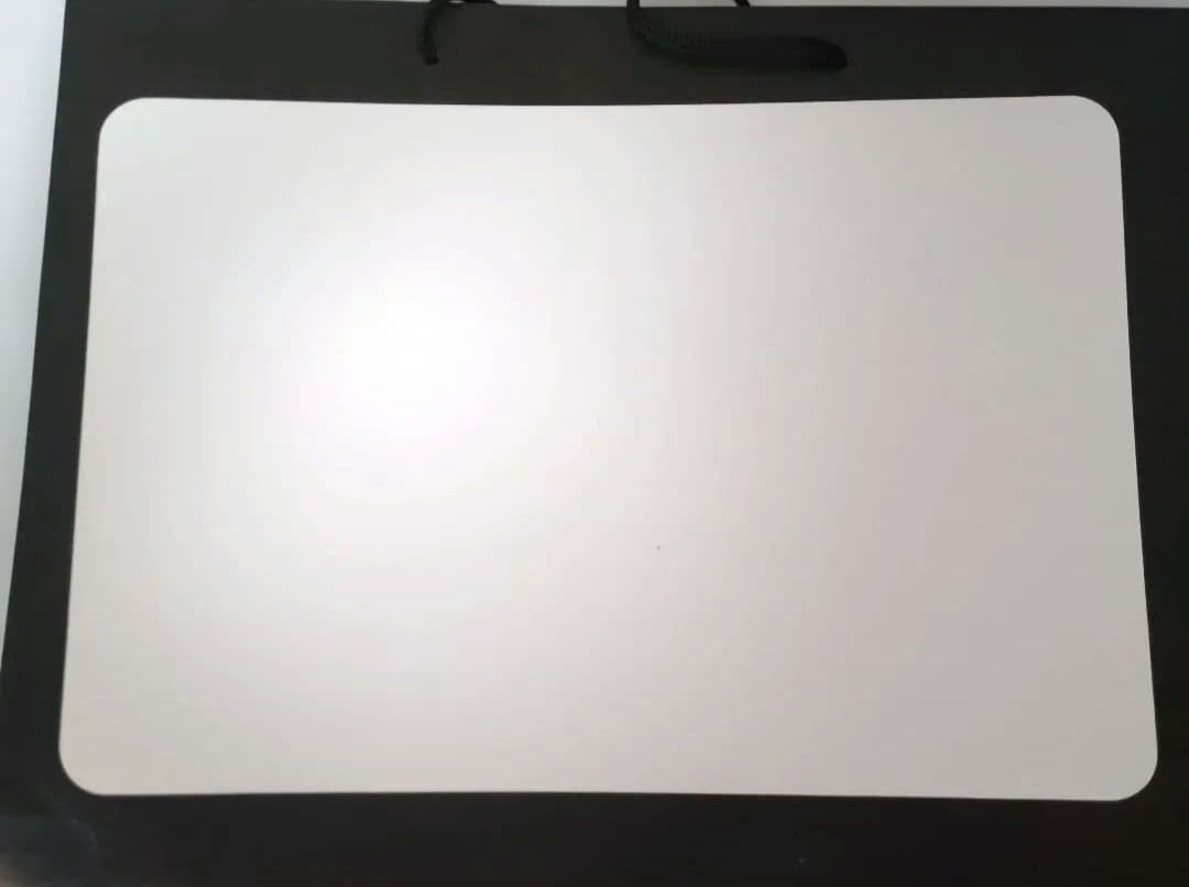 レア！ 新品未使用 VIETRI ヴィエトリ イタリア PlaceMats 4枚