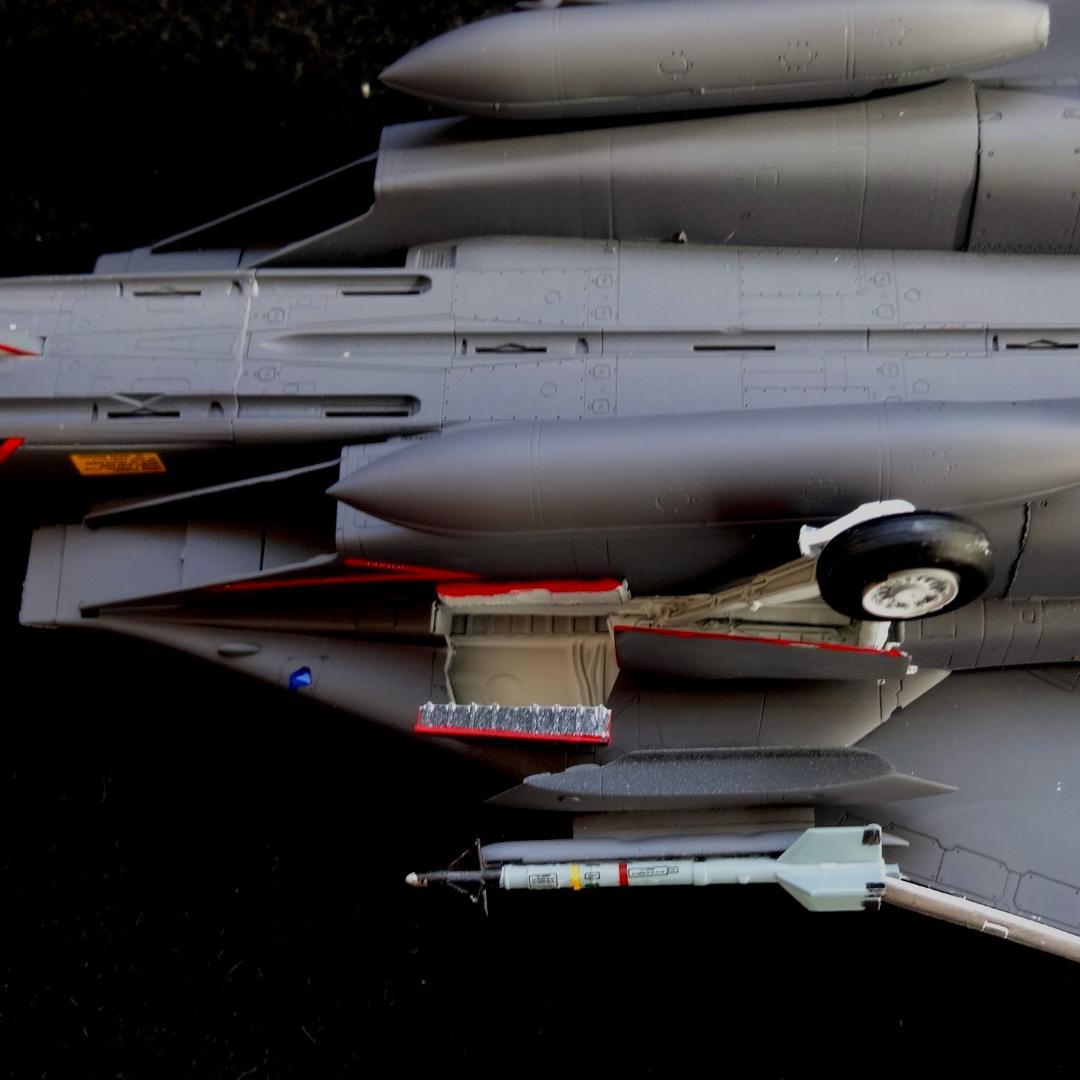 1/72 エースコンバット F-14A トムキャット \"RAZGRIZ\" 完成品