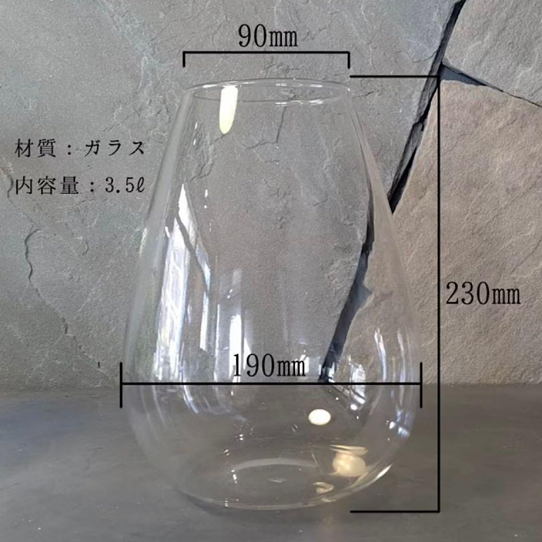 テラリウム用　LEDライト付き　ガラス容器