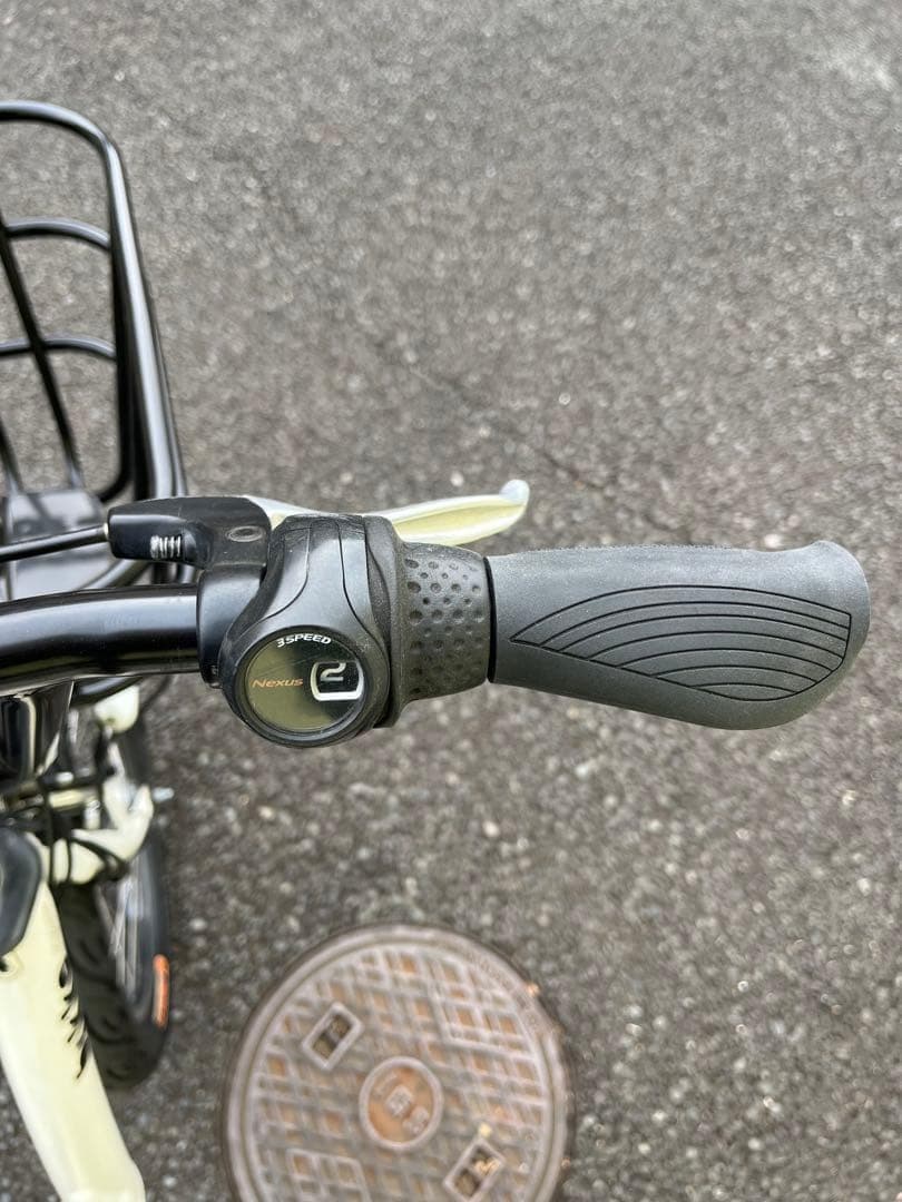 【近隣無料配送・たのメル便対応】ビッケポーラーe ファットバイクカスタム