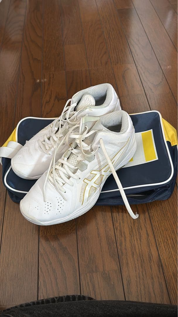 asics ゲルフープ　27cm バスケットシューズ