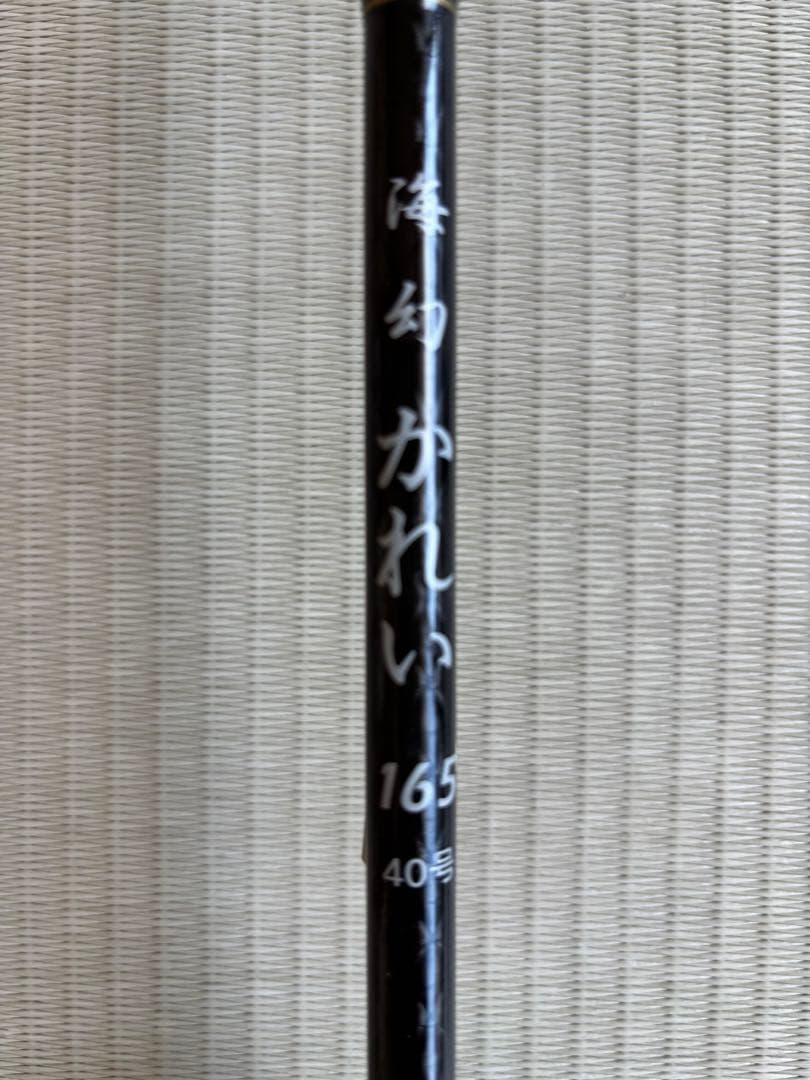 【カレイ船釣り用】竿リール2点 セット商品