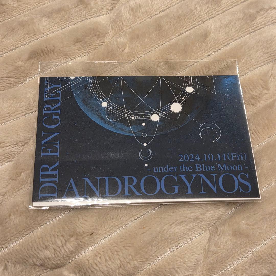 DIRENGREY ステッカー　まとめ売り