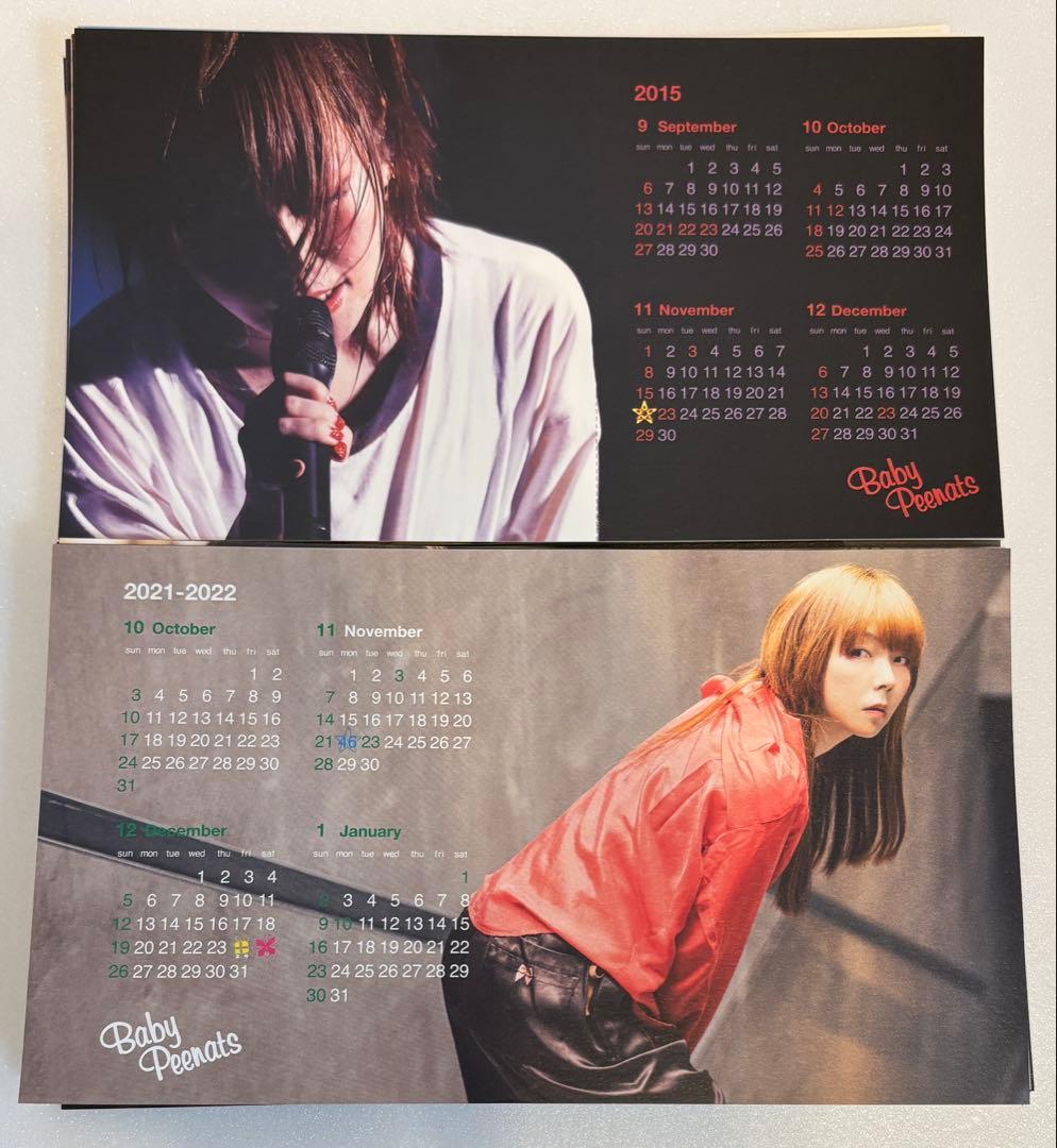 【希少】aiko FC会報45-91カレンダー2008-2022パンフ5冊特典付