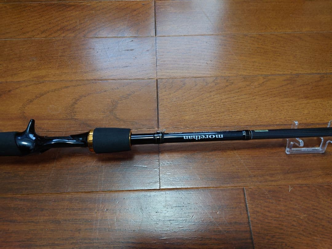ダイワmorethan AGS 97MLB シーバスロッド。