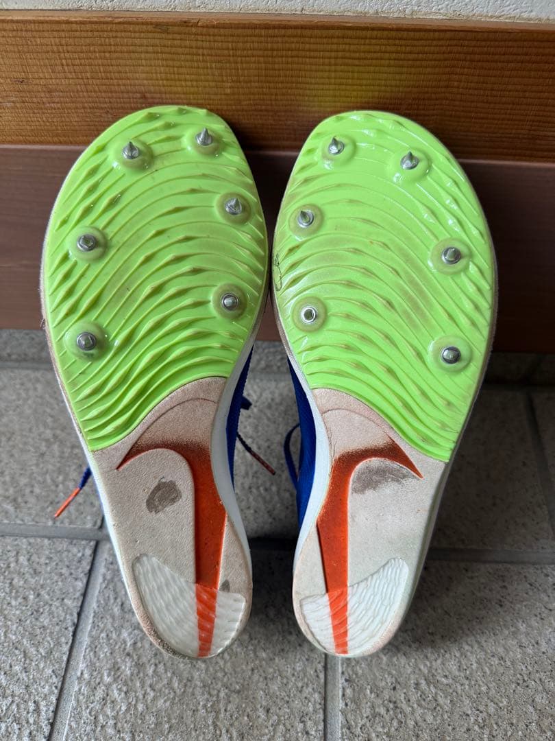 Nike ドラゴンフライ 27.5cm