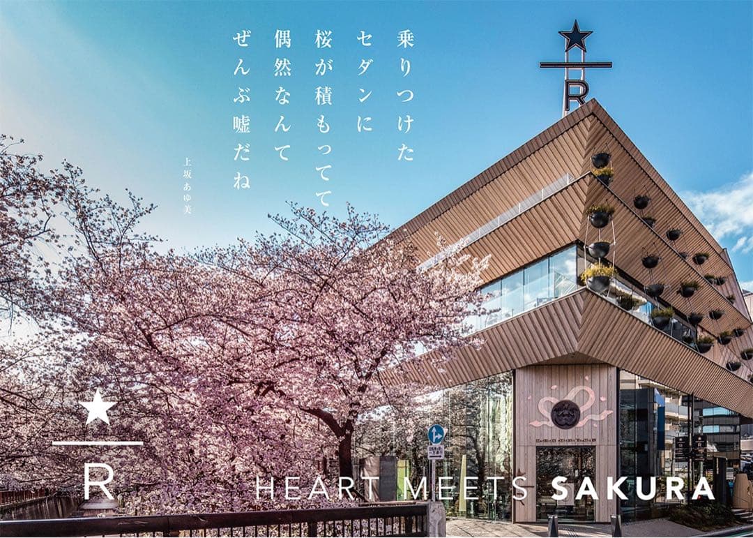 アウトドア寝具 STARBUCKS RESERVE ROASTERY Limited items