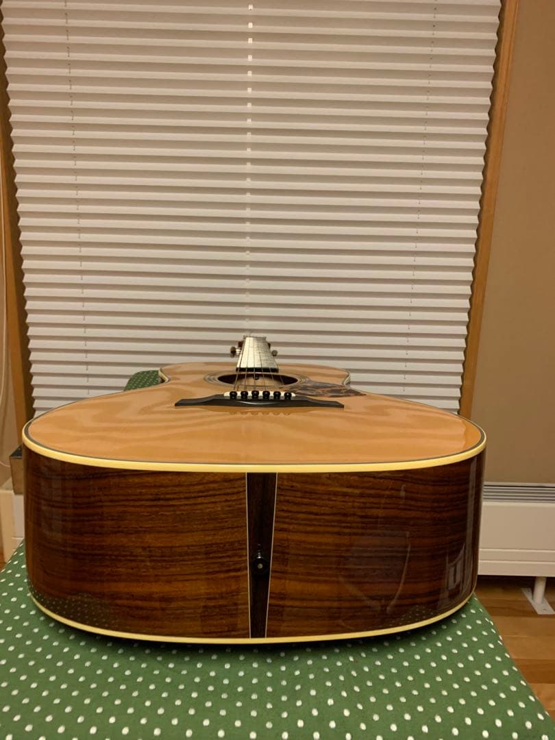 Gary E. Levinson LS-43 アコースティックギター
