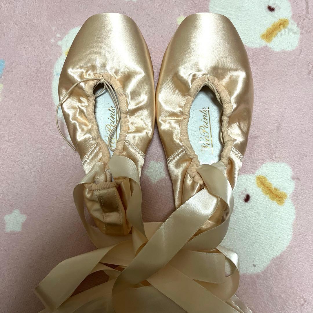 Grishko neo pointe (グリシコ　ネオポワント)