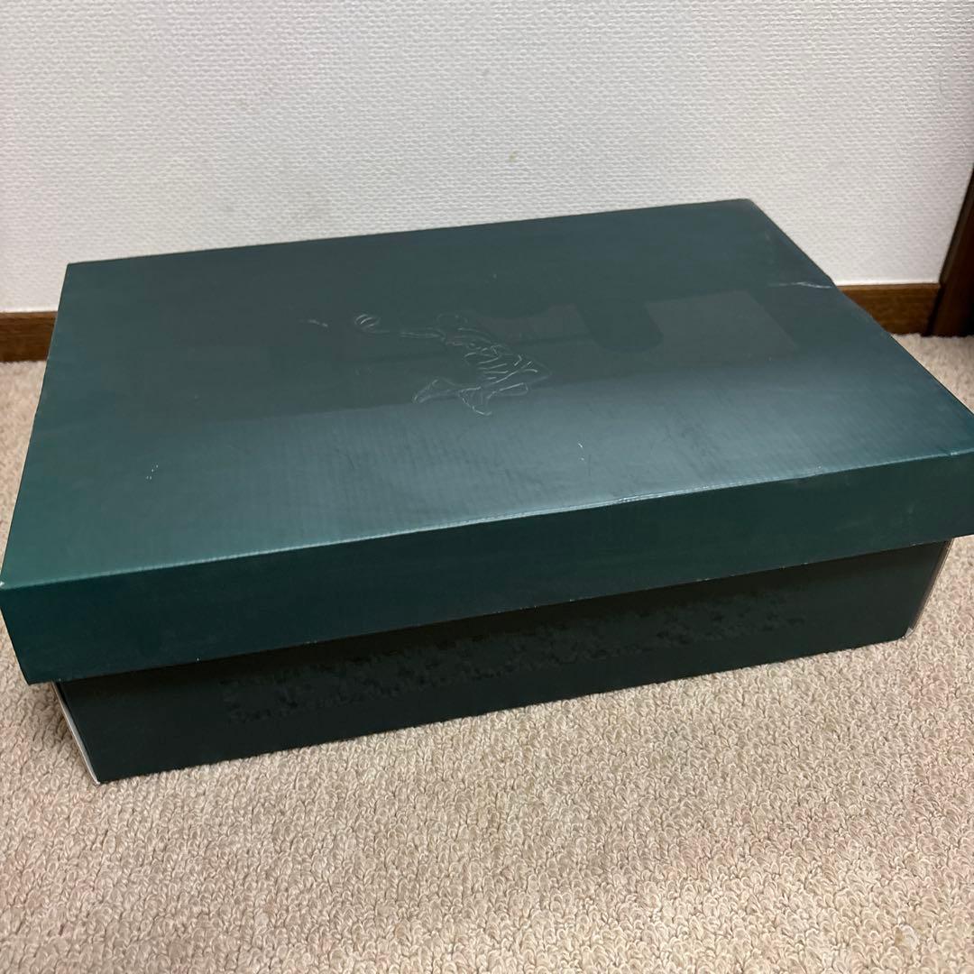 ナイキ レブロン XVI LOW AC