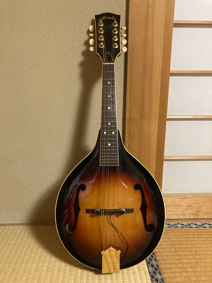 JUMBO ジャンボ JM-50 フラットマンドリン