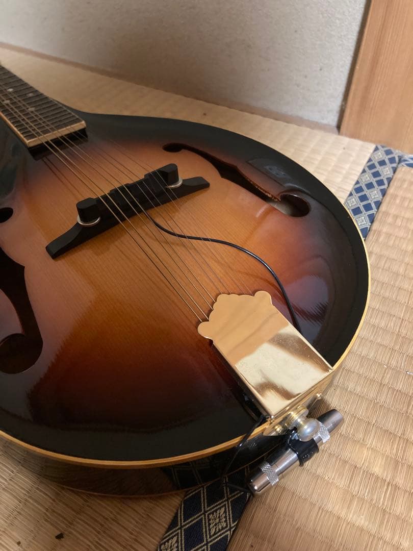 JUMBO ジャンボ JM-50 フラットマンドリン