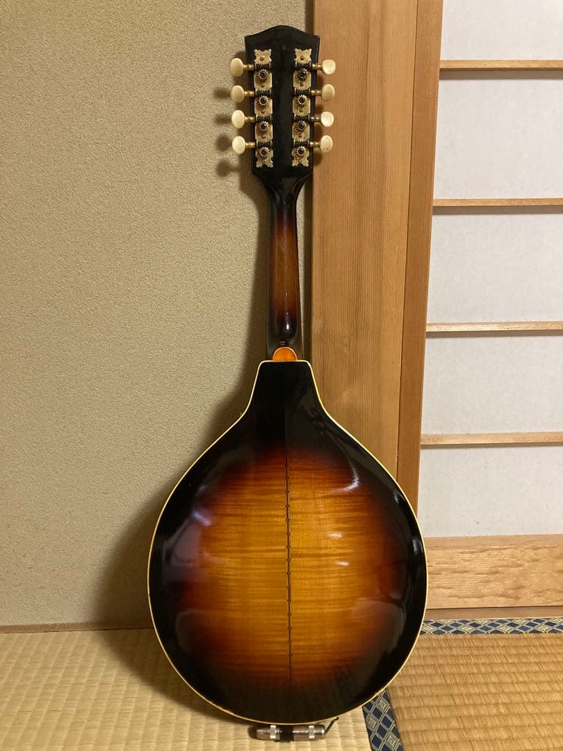 JUMBO ジャンボ JM-50 フラットマンドリン