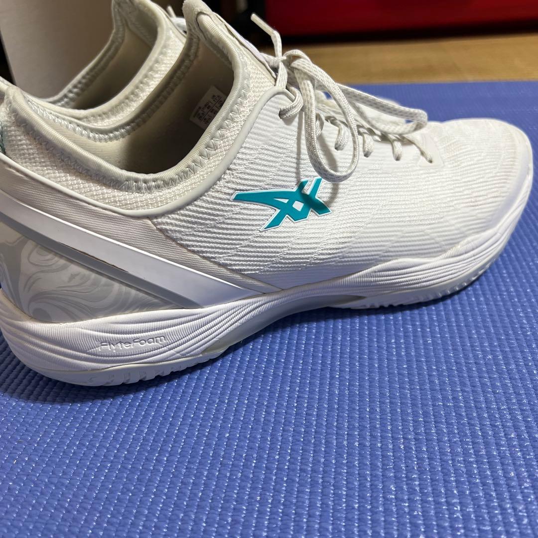 えさん専用asics グライドノヴァff2 29cm