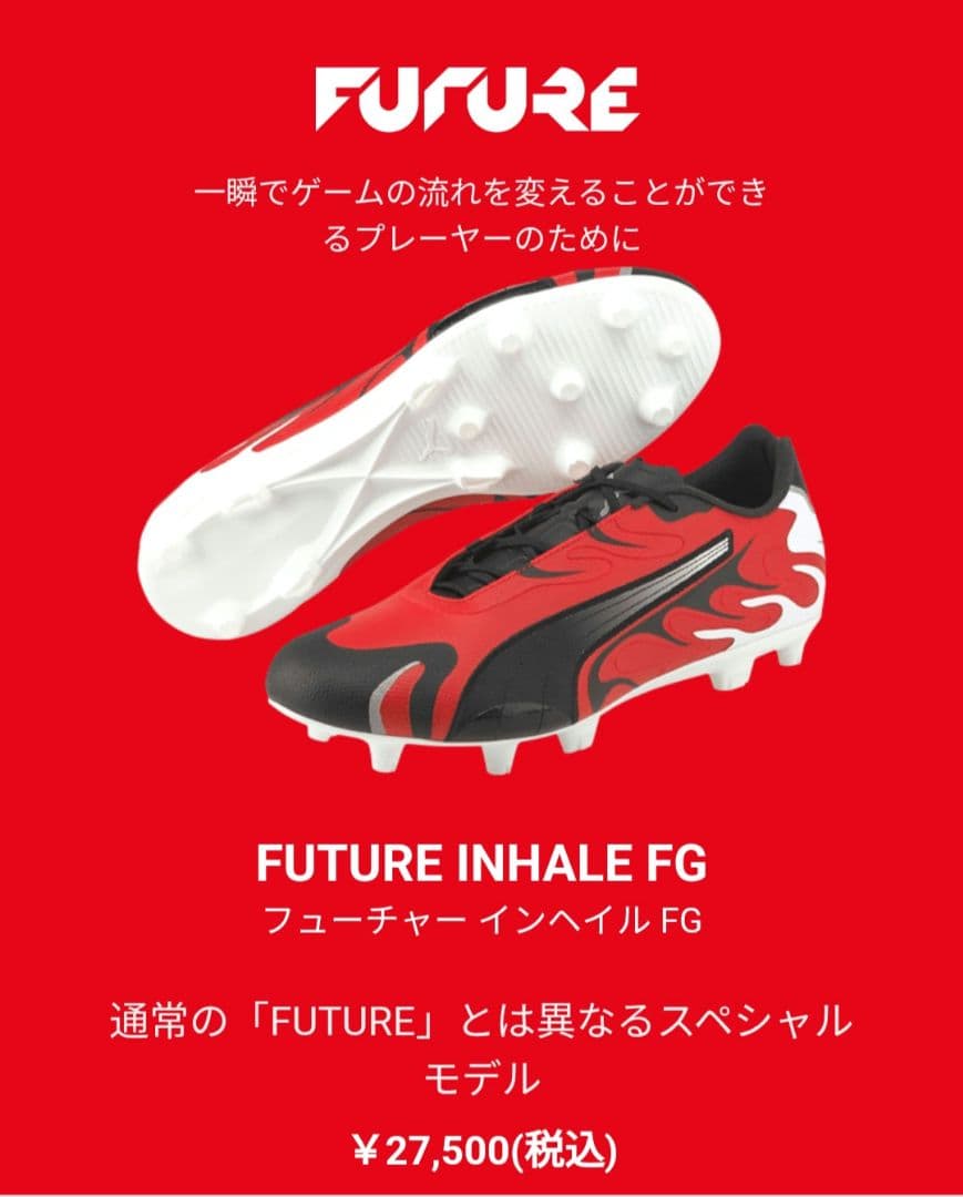 【レア】FUTURE　インヘイルFG　25cm