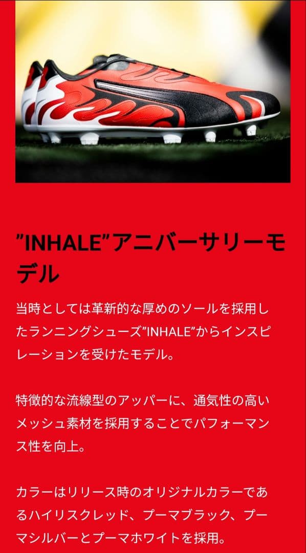 【レア】FUTURE　インヘイルFG　25cm
