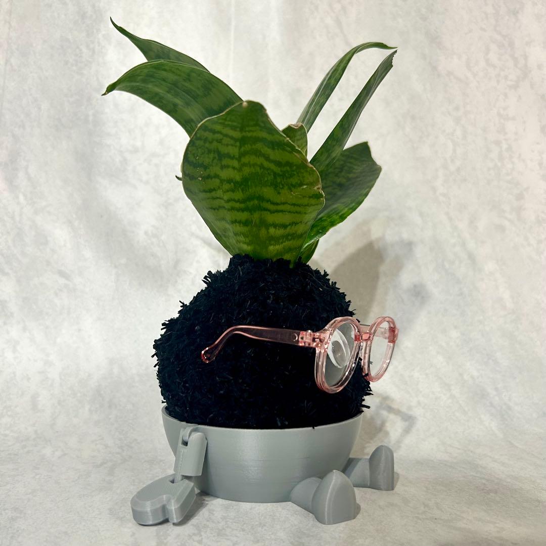 デカモン(オリジナル苔玉モンスター)ブラック