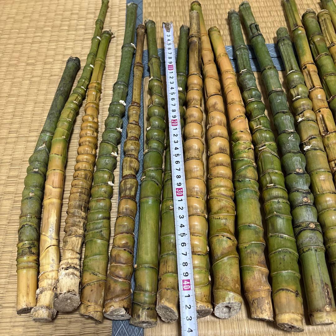 布袋竹 釣りロードグリップ用竹 27本セット400-500mm 40-50cm