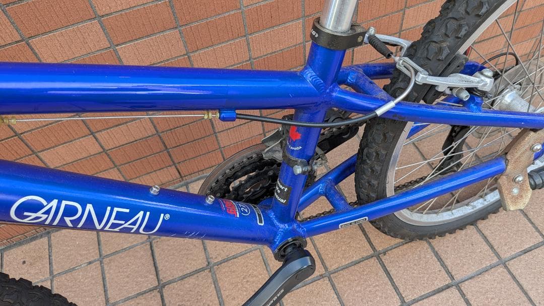 ルイガノ　キッズ向け