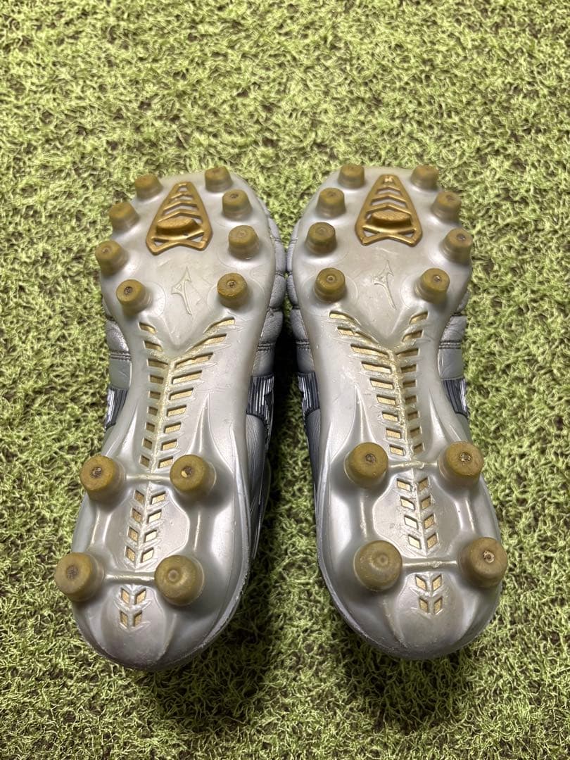 モレリアネオ4 シルバーパック　22.5cm