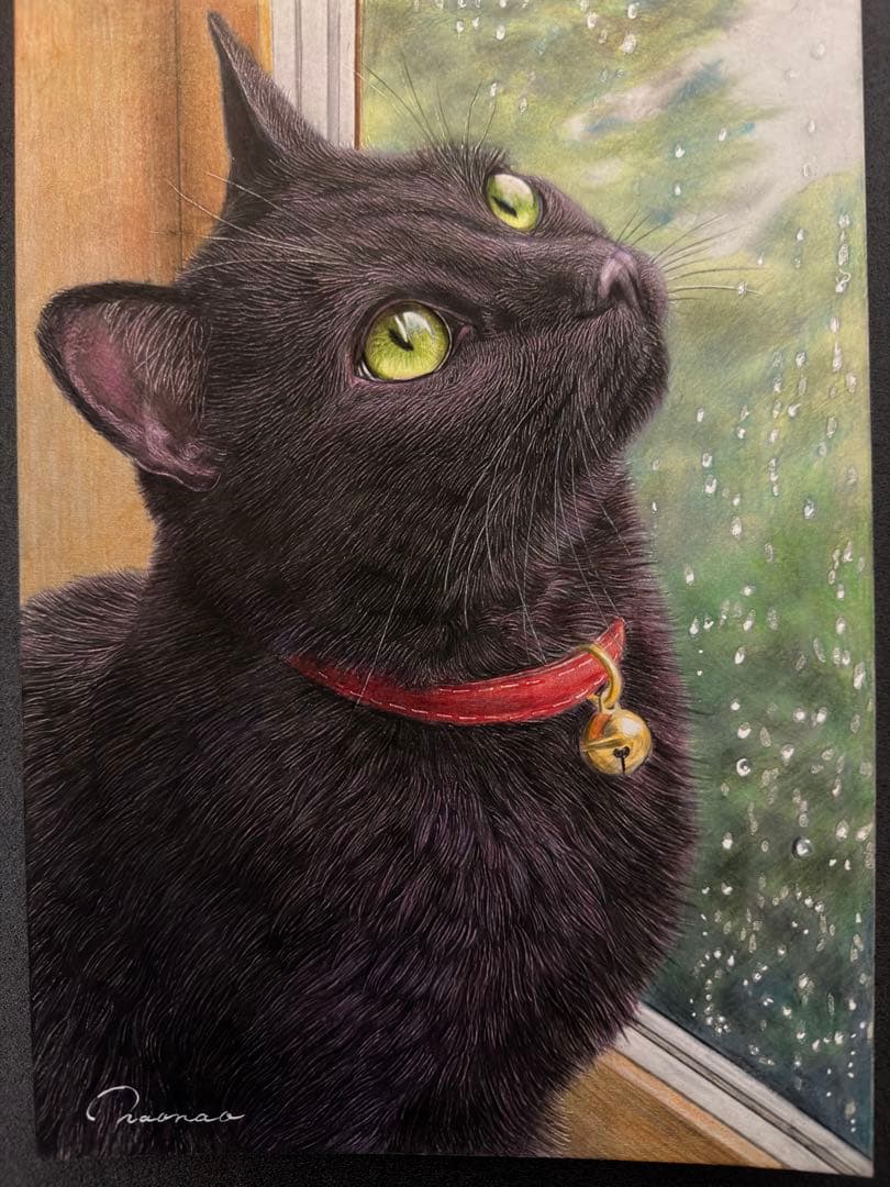 色鉛筆画.A4. 雨音を見つめる黒猫