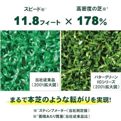 ダイヤゴルフ(DAIYA GOLF) パター練習器具 ダイヤパターグリーンHDp