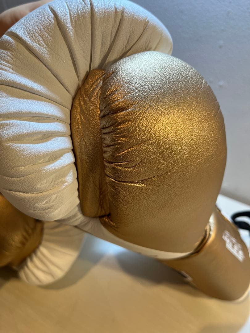 【限定値下げ中】RIVAL RS100 SPARRING GLOVE 14oz