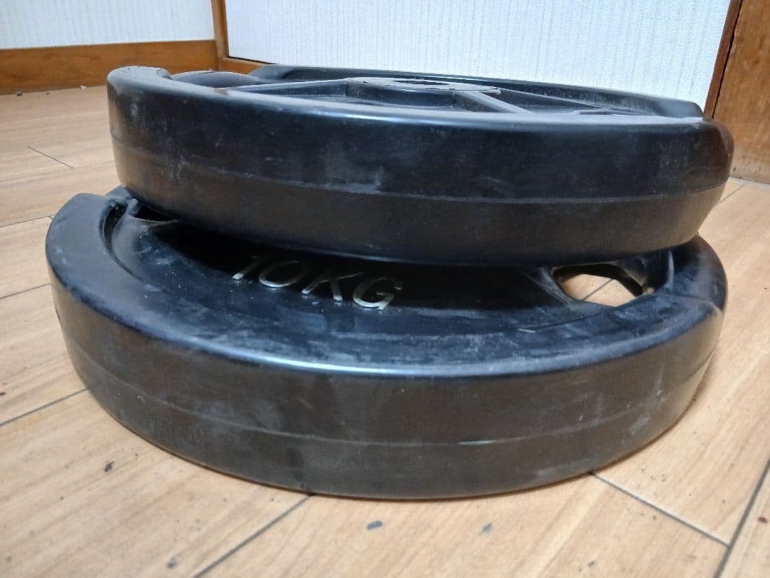 WILD FIT プレート10kg x 2枚 計20kg