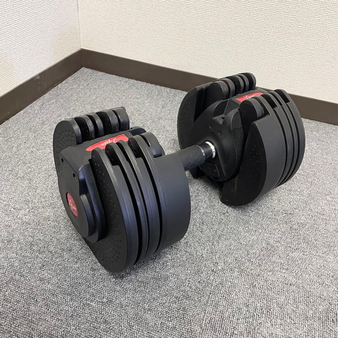 ライシン 可変式ダンベル 20kg 片方のみ