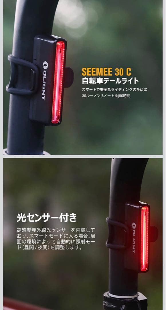 LEADER BIKE リーダーバイクブラック　735TR XLサイズ　カスタム