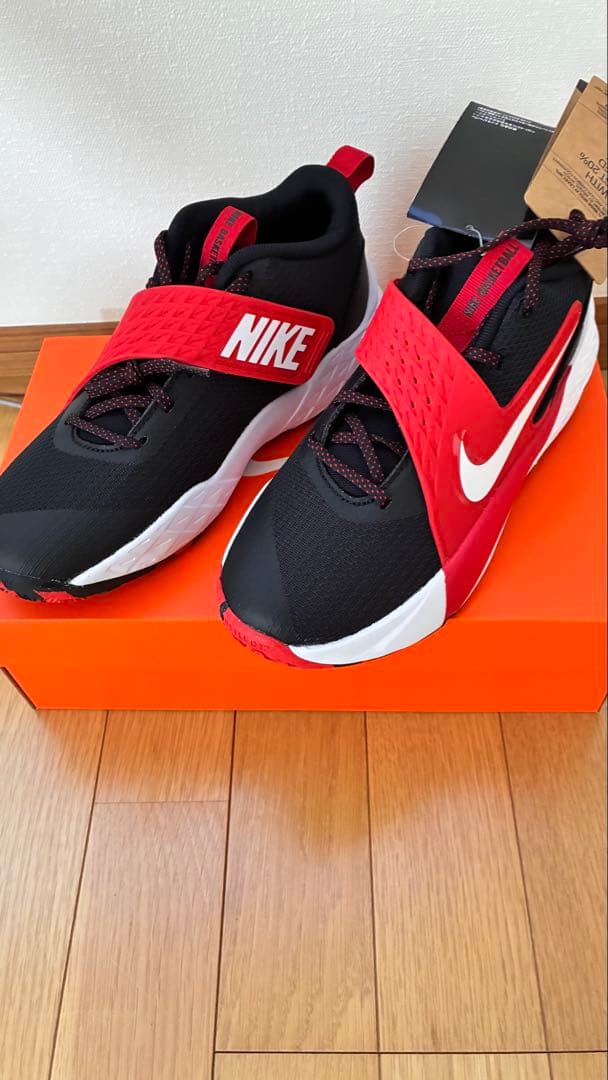 Nike バスケットボールシューズ 黒/赤