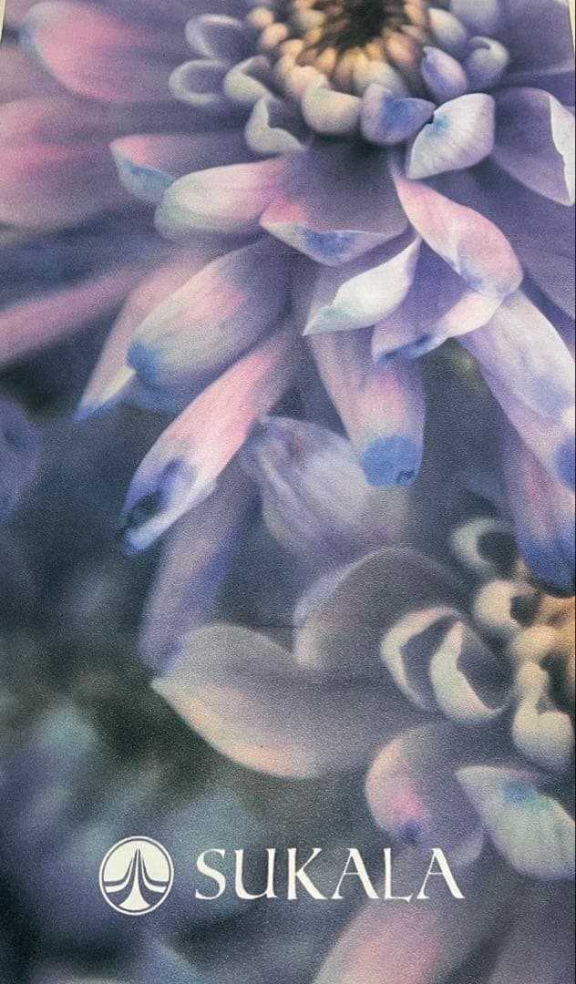 【美品】LAVA SUKALA トラベルヨガマット