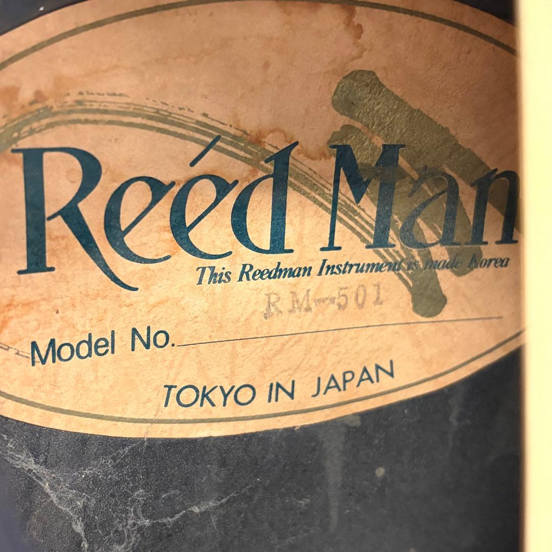 ReedMan リードマン エレクトリックアコースティックギター RM-501