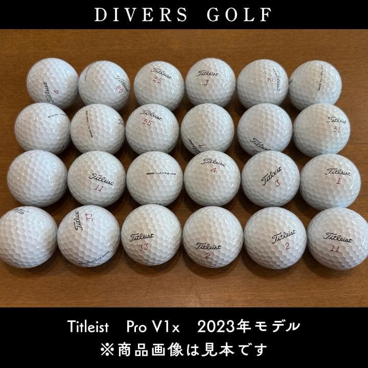 24球入 ロストボール タイトリスト Pro V1x 2023年 S【T01】