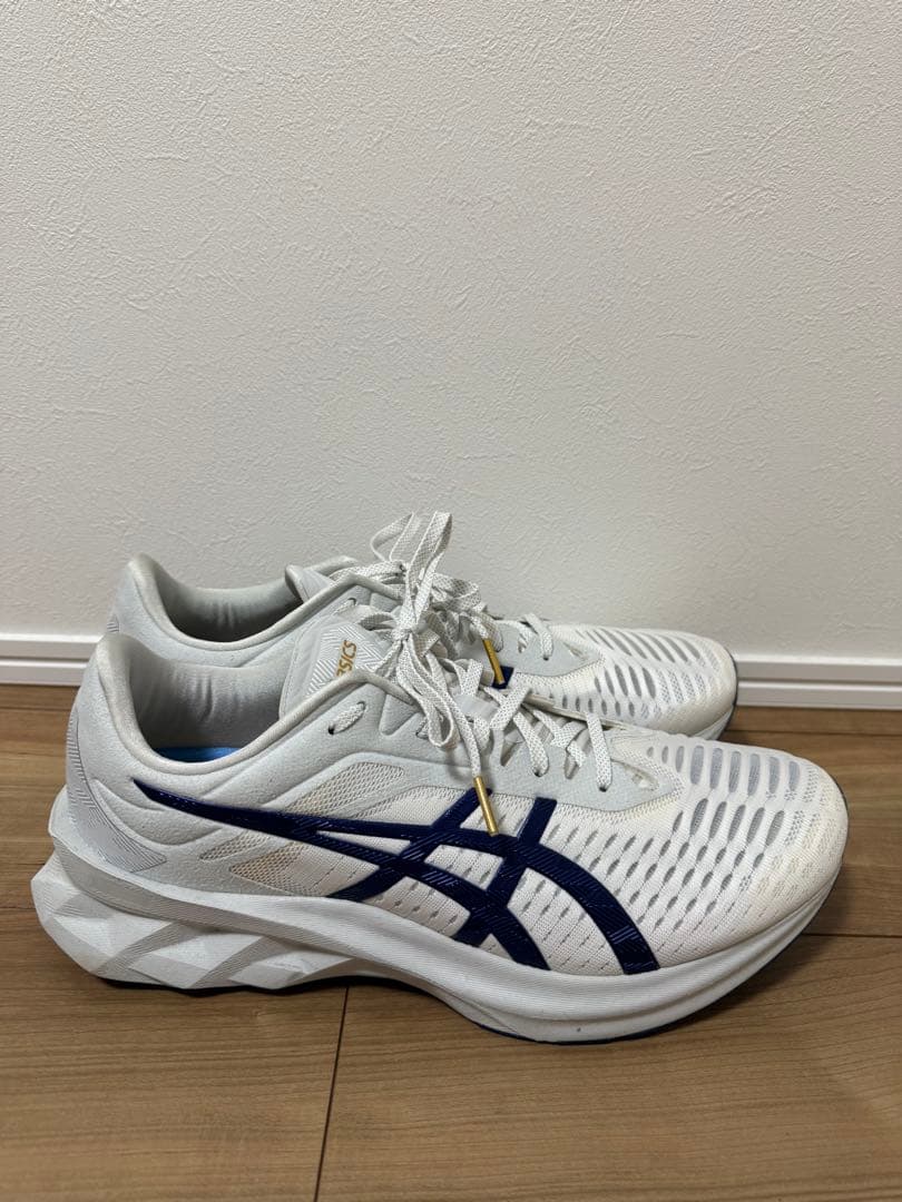 スパイク・シューズ asics NOVABLAST 3 29cm