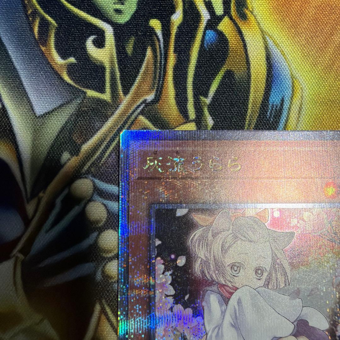 遊戯王 灰流うらら 25th 絵違い