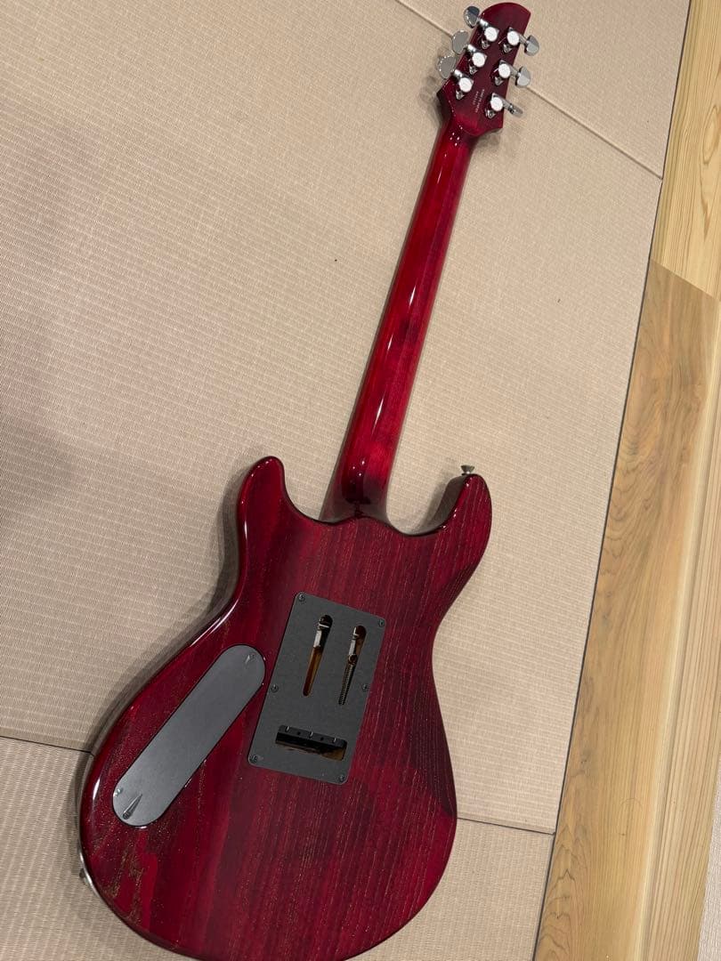 ギター Fernandes APG-DLX JPC