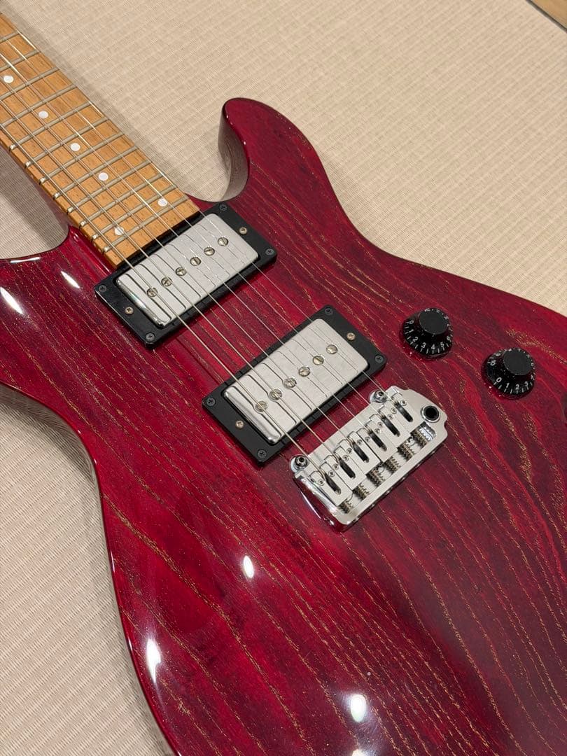 ギター Fernandes APG-DLX JPC