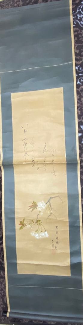 花隠　暁桜　賛入　桜名手　掛軸