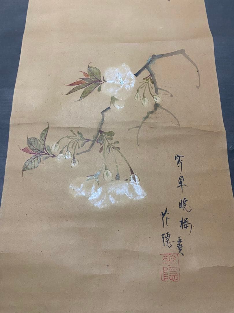 花隠　暁桜　賛入　桜名手　掛軸