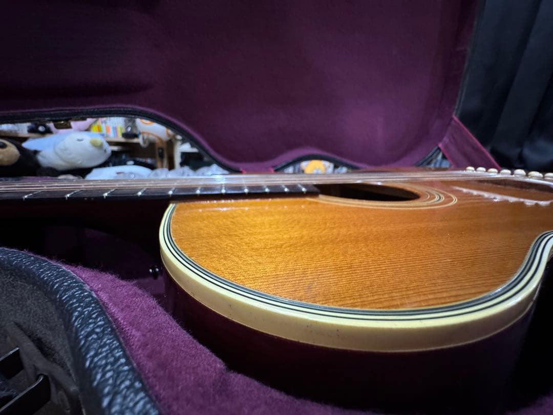 GUILD F212 NT 1966年製 ヴィンテージ 12弦