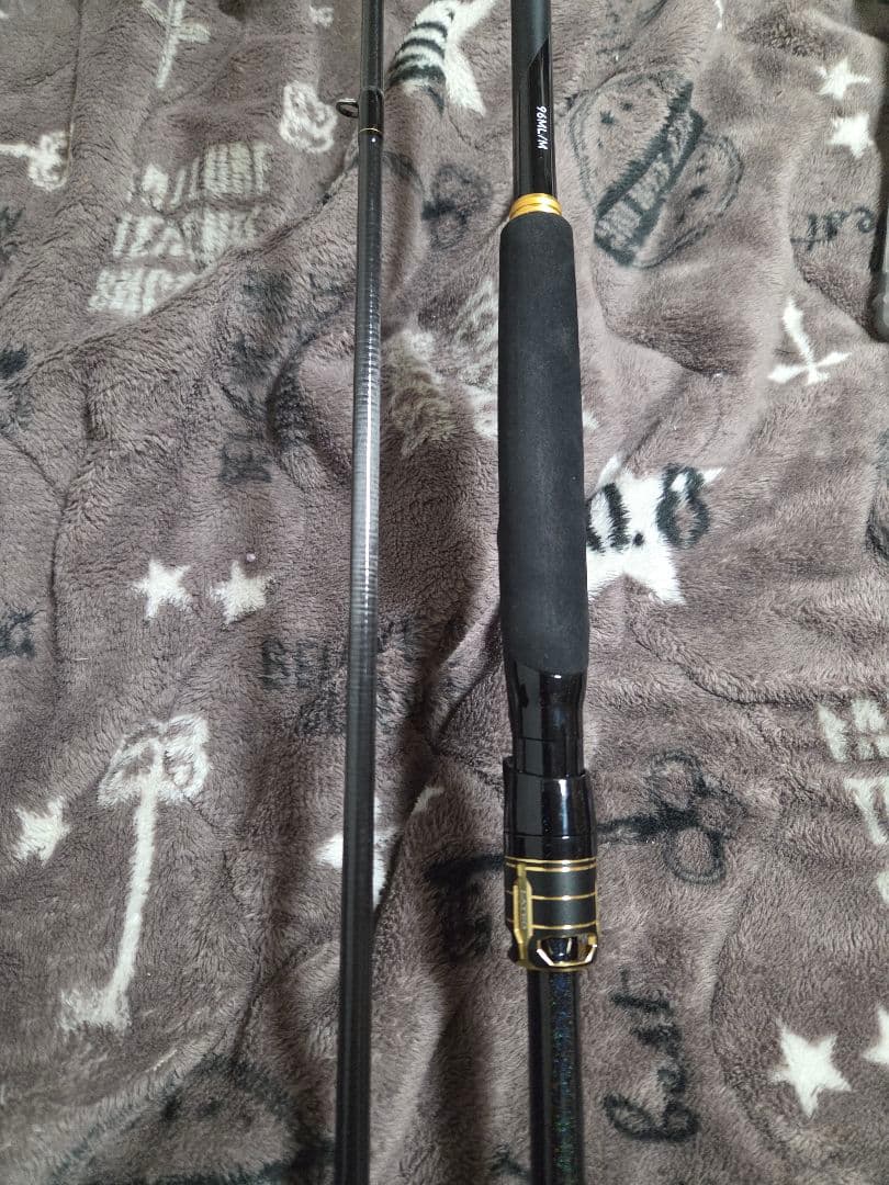 ロッド Daiwa LATEO 96 ML/M